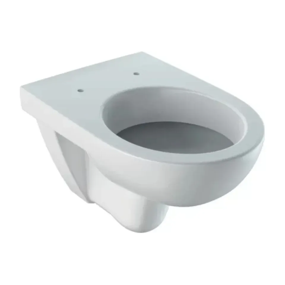 Konzolna wc šolja Geberit Selnova bela 53 cm