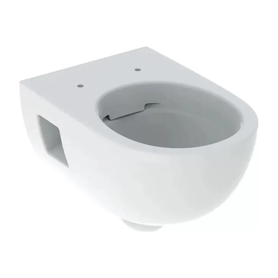 Konzolna wc šolja Geberit Selnova bela 53 cm rimfree