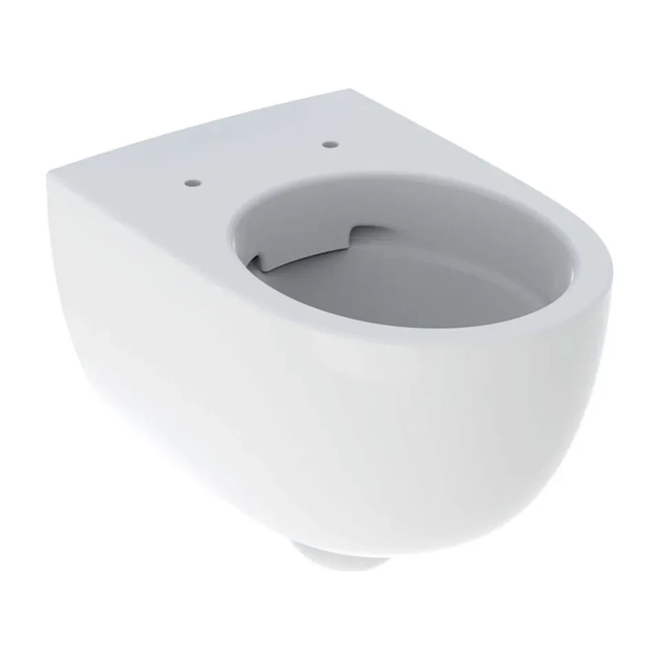 Konzolna wc šolja Geberit Selnova bela Rimfree