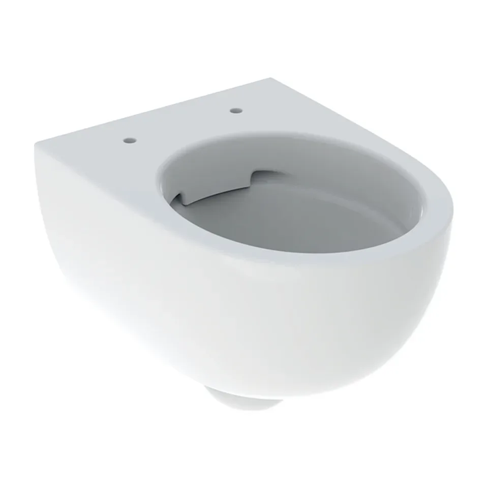 Konzolna wc šolja Geberit Selnova Compact bela Rimfree 49 cm