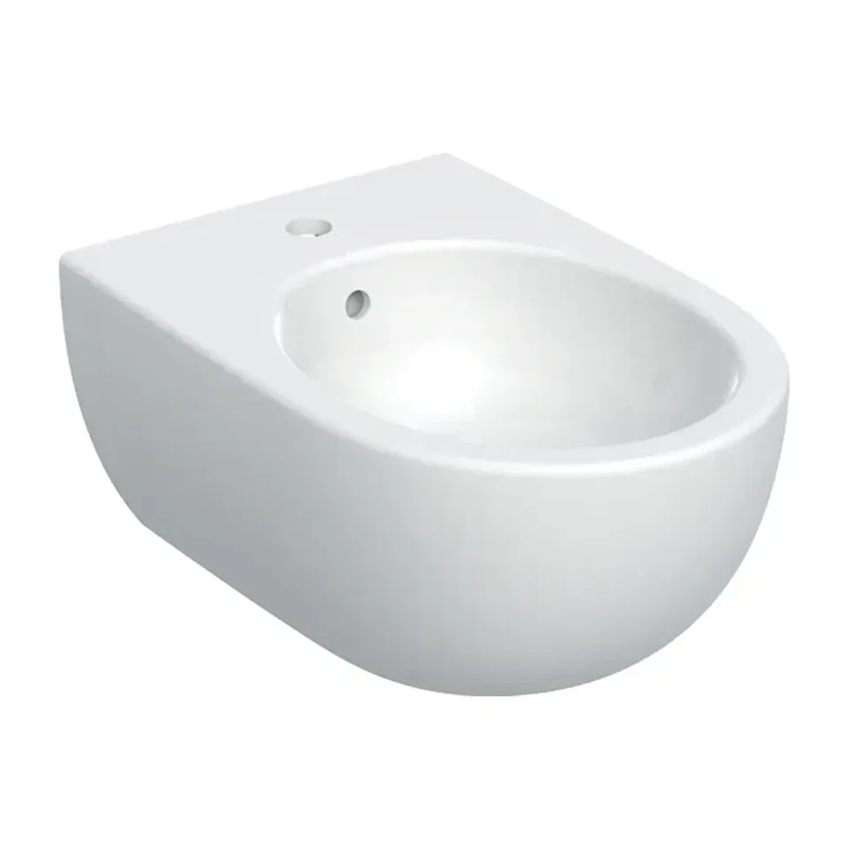 Konzolni bide Geberit Selnova Premium bela 53 cm